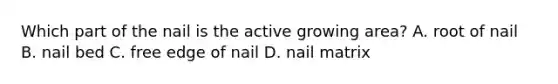 Which part of the nail is the active growing area? A. root of nail B. nail bed C. free edge of nail D. nail matrix