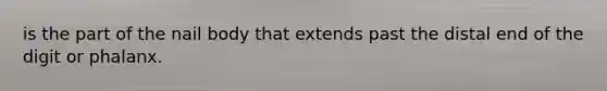 is the part of the nail body that extends past the distal end of the digit or phalanx.