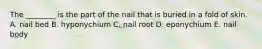 The ________ is the part of the nail that is buried in a fold of skin. A. nail bed B. hyponychium C. nail root D. eponychium E. nail body