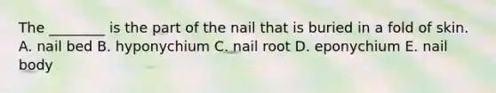 The ________ is the part of the nail that is buried in a fold of skin. A. nail bed B. hyponychium C. nail root D. eponychium E. nail body