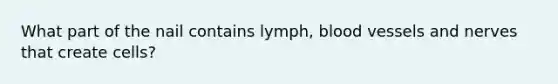 What part of the nail contains lymph, blood vessels and nerves that create cells?