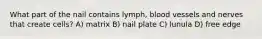 What part of the nail contains lymph, blood vessels and nerves that create cells? A) matrix B) nail plate C) lunula D) free edge
