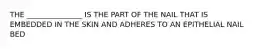 THE _______________ IS THE PART OF THE NAIL THAT IS EMBEDDED IN THE SKIN AND ADHERES TO AN EPITHELIAL NAIL BED