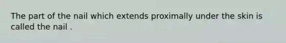 The part of the nail which extends proximally under the skin is called the nail .