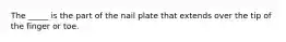 The _____ is the part of the nail plate that extends over the tip of the finger or toe.