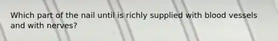 Which part of the nail until is richly supplied with <a href='https://www.questionai.com/knowledge/kZJ3mNKN7P-blood-vessels' class='anchor-knowledge'>blood vessels</a> and with nerves?