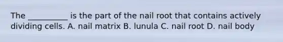 The __________ is the part of the nail root that contains actively dividing cells. A. nail matrix B. lunula C. nail root D. nail body