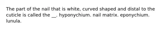 The part of the nail that is white, curved shaped and distal to the cuticle is called the __. hyponychium. nail matrix. eponychium. lunula.