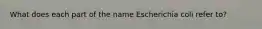 What does each part of the name Escherichia coli refer to?