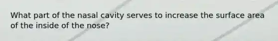 What part of the nasal cavity serves to increase the surface area of the inside of the nose?