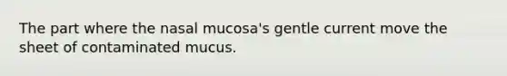 The part where the nasal mucosa's gentle current move the sheet of contaminated mucus.