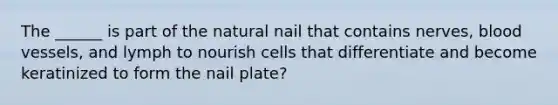 The ______ is part of the natural nail that contains nerves, blood vessels, and lymph to nourish cells that differentiate and become keratinized to form the nail plate?