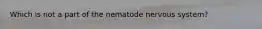 Which is not a part of the nematode nervous system?