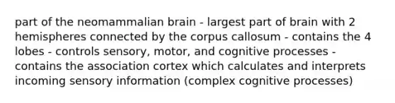 part of the neomammalian brain - largest part of brain with 2 hemispheres connected by the corpus callosum - contains the 4 lobes - controls sensory, motor, and cognitive processes - contains the association cortex which calculates and interprets incoming sensory information (complex cognitive processes)