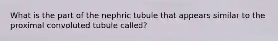 What is the part of the nephric tubule that appears similar to the proximal convoluted tubule called?