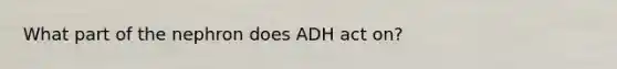 What part of the nephron does ADH act on?