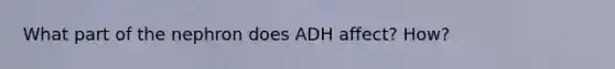 What part of the nephron does ADH affect? How?