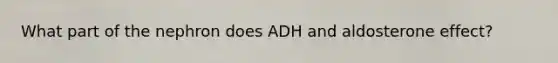 What part of the nephron does ADH and aldosterone effect?