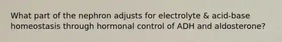 What part of the nephron adjusts for electrolyte & acid-base homeostasis through hormonal control of ADH and aldosterone?