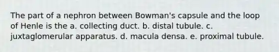 The part of a nephron between Bowman's capsule and the loop of Henle is the a. collecting duct. b. distal tubule. c. juxtaglomerular apparatus. d. macula densa. e. proximal tubule.