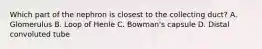 Which part of the nephron is closest to the collecting duct? A. Glomerulus B. Loop of Henle C. Bowman's capsule D. Distal convoluted tube