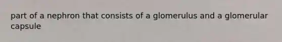 part of a nephron that consists of a glomerulus and a glomerular capsule