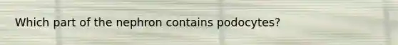 Which part of the nephron contains podocytes?