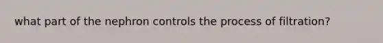 what part of the nephron controls the process of filtration?