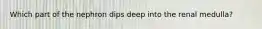 Which part of the nephron dips deep into the renal medulla?