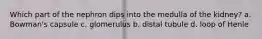 Which part of the nephron dips into the medulla of the kidney? a. Bowman's capsule c. glomerulus b. distal tubule d. loop of Henle