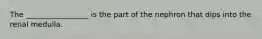 The _________________ is the part of the nephron that dips into the renal medulla.