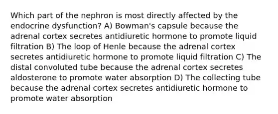 Which part of the nephron is most directly affected by the endocrine dysfunction? A) Bowman's capsule because the adrenal cortex secretes antidiuretic hormone to promote liquid filtration B) The loop of Henle because the adrenal cortex secretes antidiuretic hormone to promote liquid filtration C) The distal convoluted tube because the adrenal cortex secretes aldosterone to promote water absorption D) The collecting tube because the adrenal cortex secretes antidiuretic hormone to promote water absorption