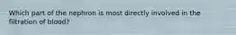 Which part of the nephron is most directly involved in the filtration of blood?