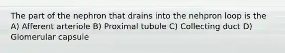 The part of the nephron that drains into the nehpron loop is the A) Afferent arteriole B) Proximal tubule C) Collecting duct D) Glomerular capsule