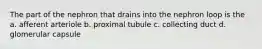 The part of the nephron that drains into the nephron loop is the a. afferent arteriole b. proximal tubule c. collecting duct d. glomerular capsule