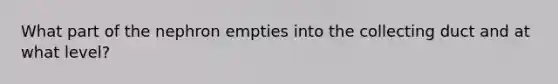 What part of the nephron empties into the collecting duct and at what level?