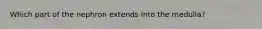 Which part of the nephron extends into the medulla?