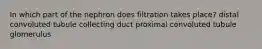 In which part of the nephron does filtration takes place? distal convoluted tubule collecting duct proximal convoluted tubule glomerulus