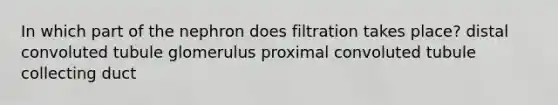 In which part of the nephron does filtration takes place? distal convoluted tubule glomerulus proximal convoluted tubule collecting duct