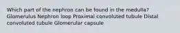 Which part of the nephron can be found in the medulla? Glomerulus Nephron loop Proximal convoluted tubule Distal convoluted tubule Glomerular capsule