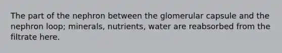 The part of the nephron between the glomerular capsule and the nephron loop; minerals, nutrients, water are reabsorbed from the filtrate here.