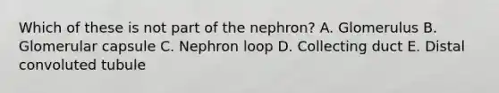 Which of these is not part of the nephron? A. Glomerulus B. Glomerular capsule C. Nephron loop D. Collecting duct E. Distal convoluted tubule