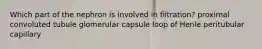 Which part of the nephron is involved in filtration? proximal convoluted tubule glomerular capsule loop of Henle peritubular capillary