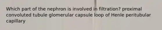 Which part of the nephron is involved in filtration? proximal convoluted tubule glomerular capsule loop of Henle peritubular capillary