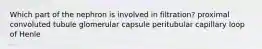 Which part of the nephron is involved in filtration? proximal convoluted tubule glomerular capsule peritubular capillary loop of Henle