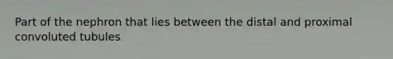 Part of the nephron that lies between the distal and proximal convoluted tubules