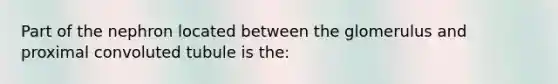 Part of the nephron located between the glomerulus and proximal convoluted tubule is the: