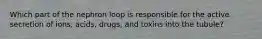 Which part of the nephron loop is responsible for the active secretion of ions, acids, drugs, and toxins into the tubule?