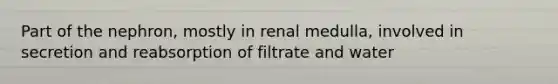 Part of the nephron, mostly in renal medulla, involved in secretion and reabsorption of filtrate and water