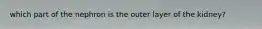 which part of the nephron is the outer layer of the kidney?